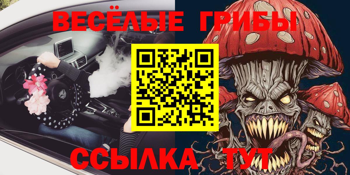 Гай  как найти   Вход с VPN  Псилоцибиновые грибы мицелий 