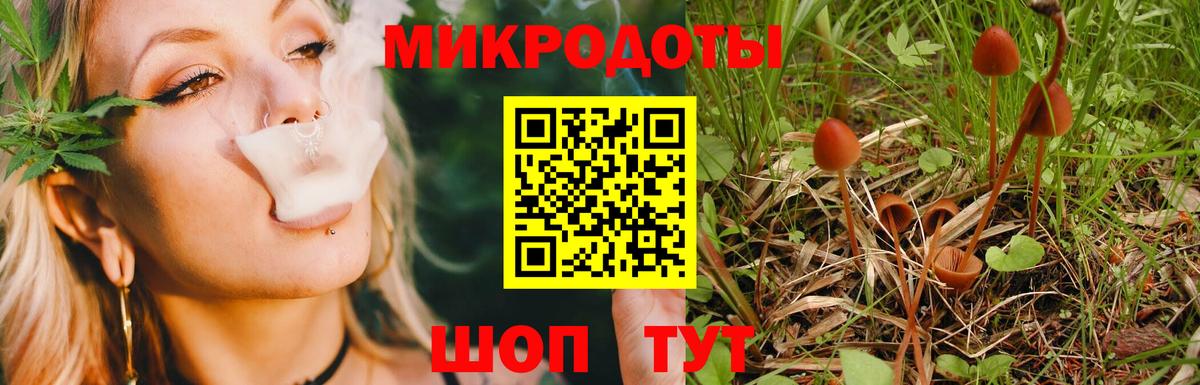 Галлюциногенные грибы ЛСД Гай