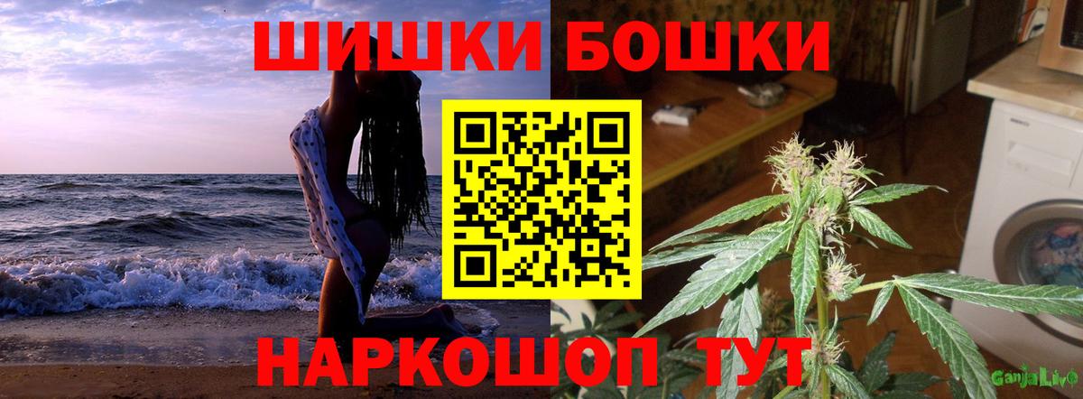 Марихуана гибрид Гай